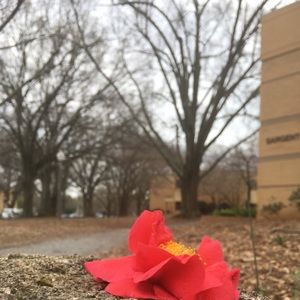 Meet your Posher, Jewels